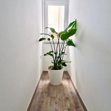 Ljubljana Central Cozy Apartment W Free Parking Екстер'єр фото